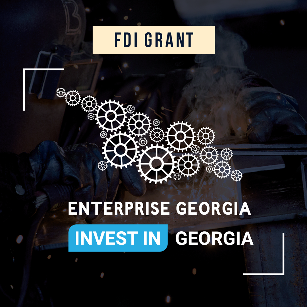 FDI Grant – The State Program